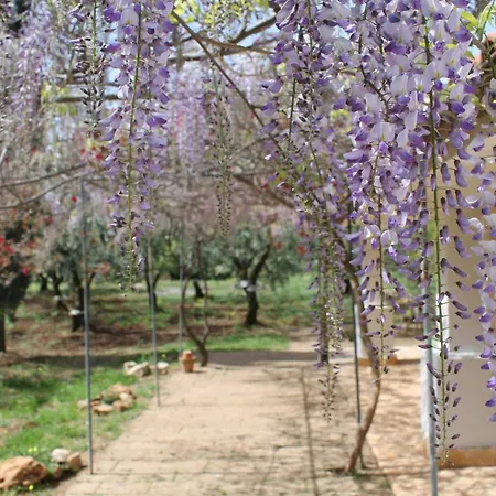 Angela Apulian Life